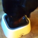 Bebedouro Anti Respingos para Gatos e Cachorros  1500ml - ELS photo review