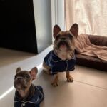 Pijama de Seda - My Little Pet photo review
