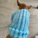 Roupa de frio para Cachorro - Casaquinho My Little Friends photo review