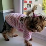 Roupa de frio para Cachorro - Suéter My Little Friends photo review