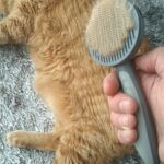 Escova Removedora de pelos para cães e gatos -  Pet Pakeway photo review