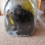 Mochila para transporte de gatos - My Pet Together photo review