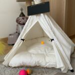 Tenda Pet - My Camp photo review
