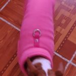 Colete de frio para cachorros - Soft Colors photo review