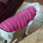 Colete de frio para cachorros - Impermeável e dupla face photo review